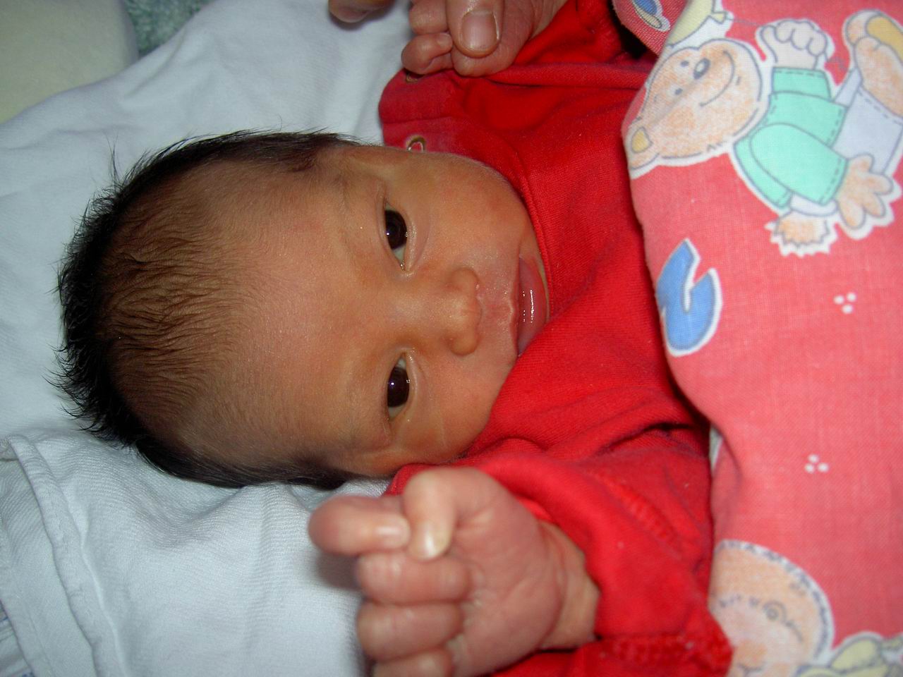 Vianne's first gallery